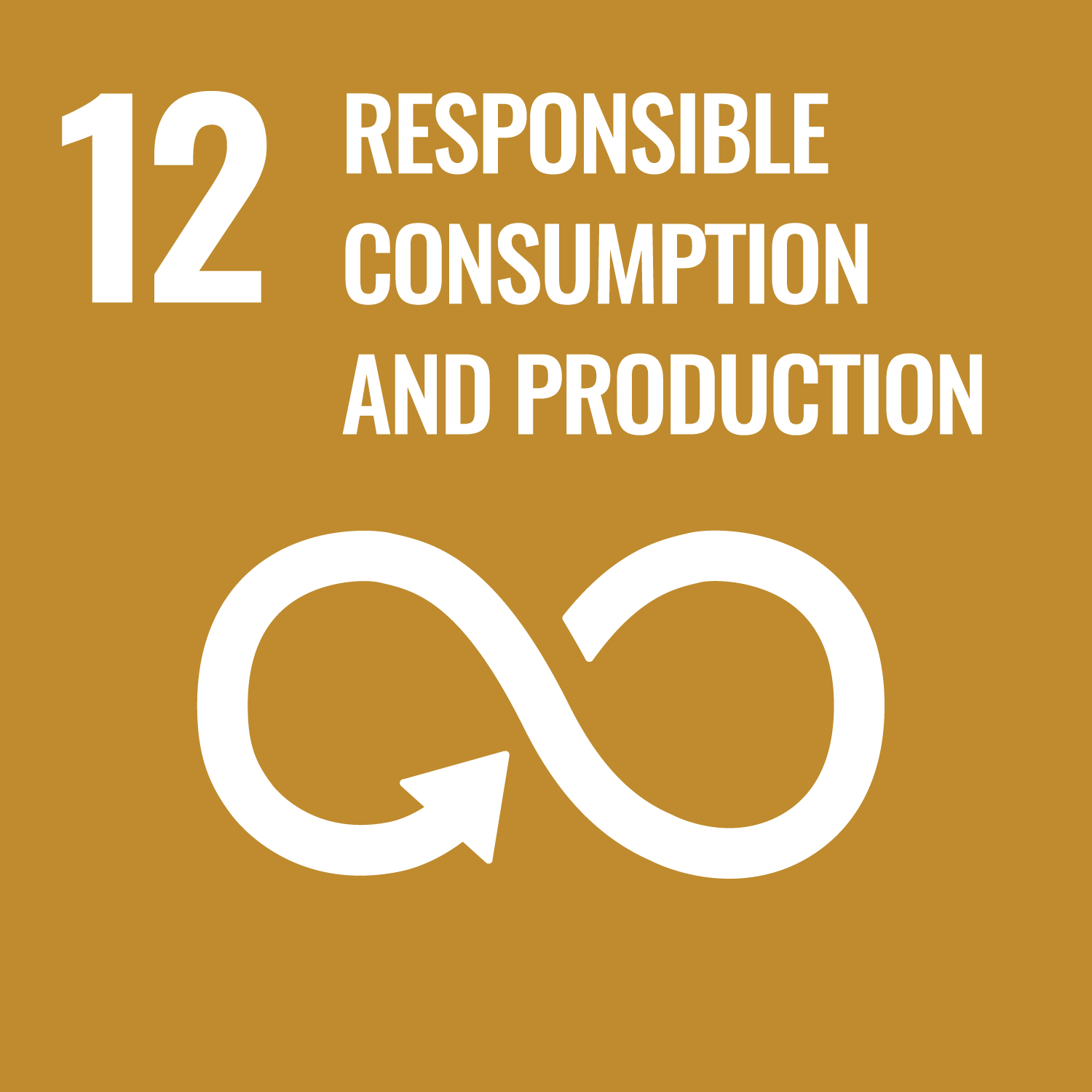 Sustainable Development Goal 12: responsible production and consumption