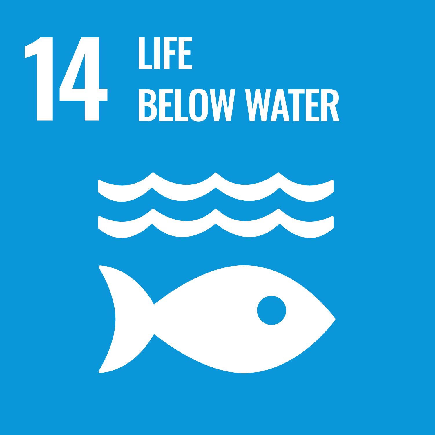 Sustainable Development Goal 14: life below water